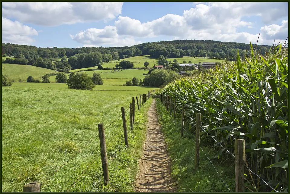 Limburg: Geuldal tussen Mechelen en Epen - Zuid Limburg - the Netherlands