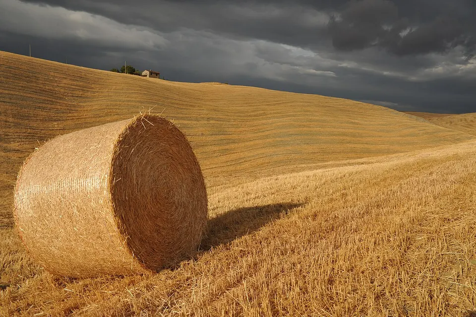 Sanfte Hügel und Felder im Val d'Orcia in der Toskana