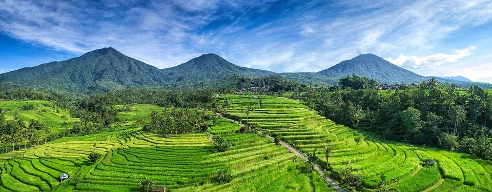 Grüne Reisterrassen von Jatiluwih auf Bali mit Palmen und bewaldeten Vulkanhängen im Hintergrund