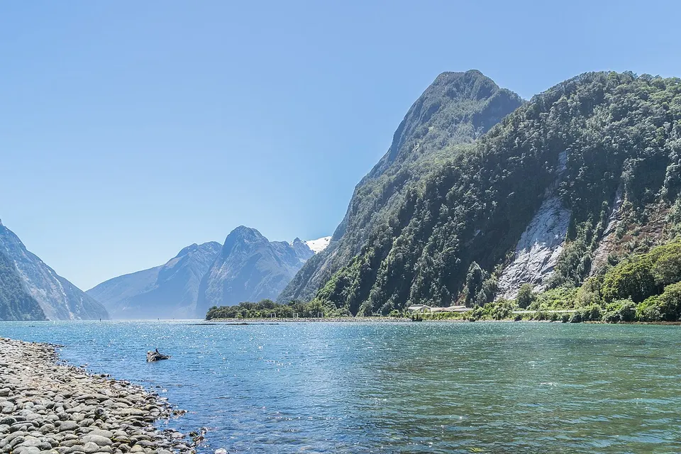Steile grüne Berghänge am Milford Sound im Fiordland-Nationalpark