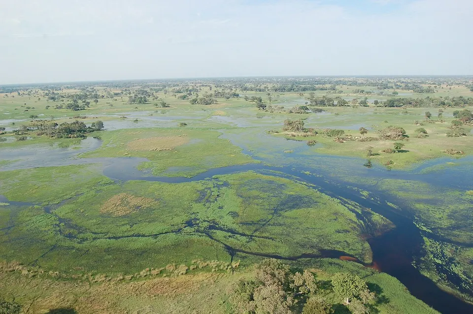 Botswana: Okavango Delta, Botswana