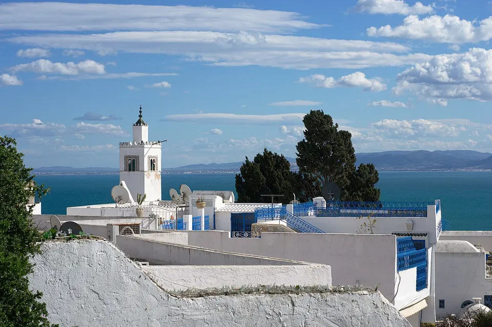 Weiße Häuser mit blauen Türen und Fenstern im Dorf Sidi Bou Said bei Tunis