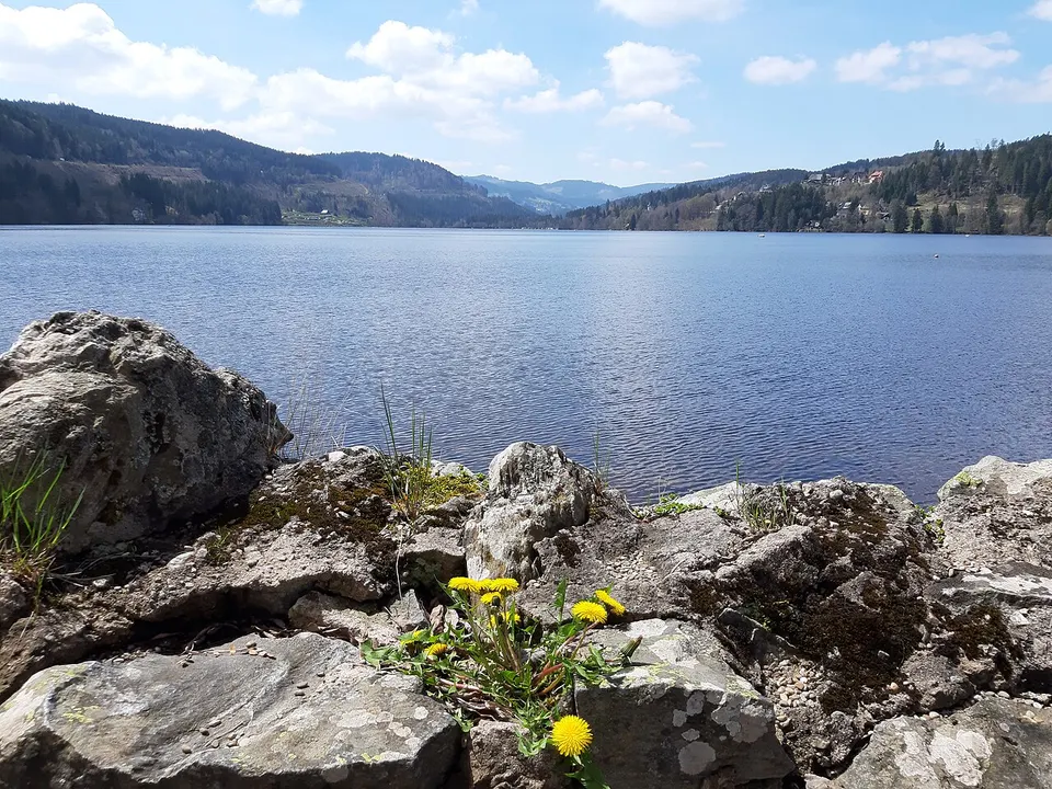 Blick auf den Titisee im Hochschwarzwald, umgeben von bewaldeten Hügeln